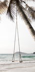 Palm Tree With Swing Plakat - Posterbox.no
