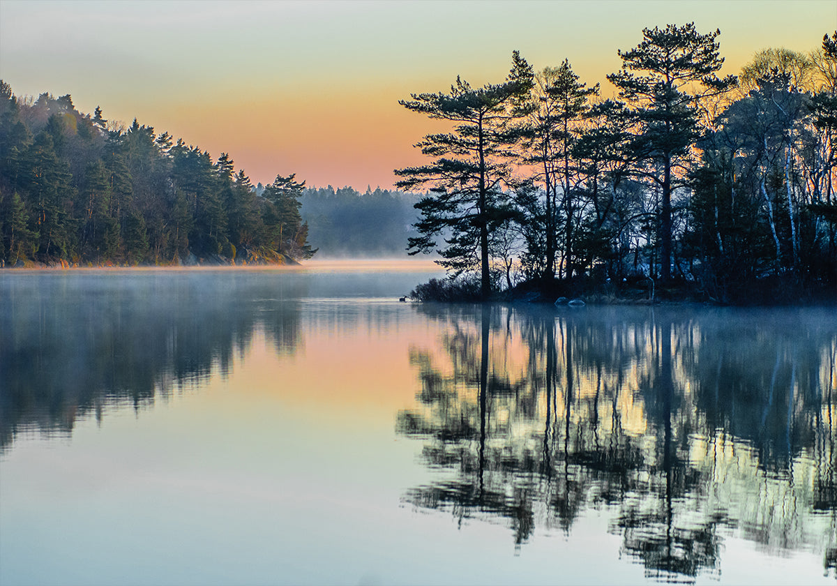 Before people wake Plakat