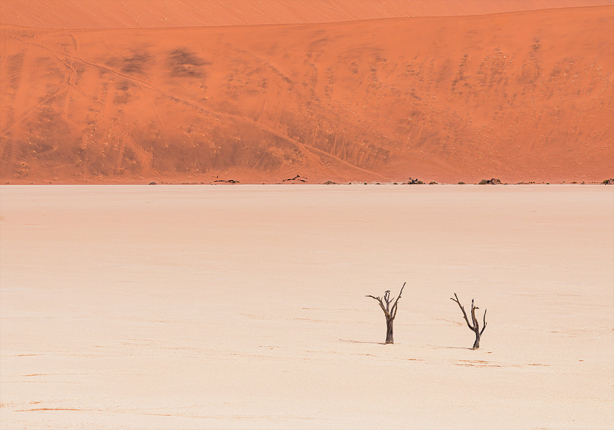 Desert's textures (NEW) - Posterbox