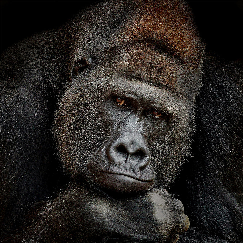 ONE MOMENT IN CONTACT Plakat