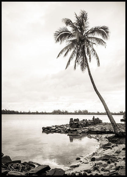 Palms On Beach Plakat - Posterbox.no