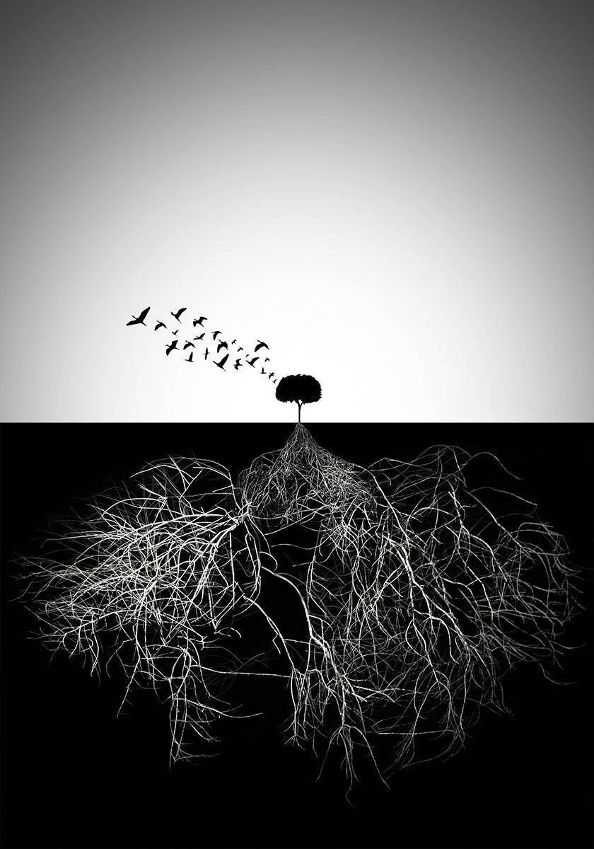 Do not judge according to appearance