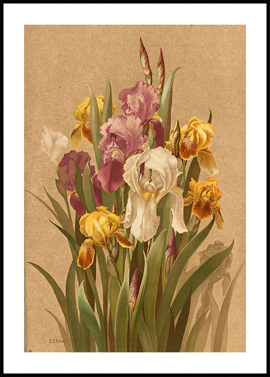 Fleur De Lis, No. 3 (NEW) - Posterbox