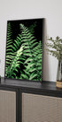 Forest Ferns Plakat - Posterbox.no