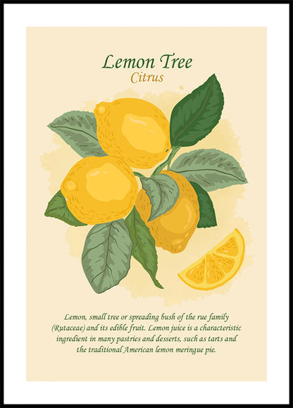 a picture of a lemon tree with leaves