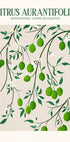 Botanical Lime Bliss Plakat - Posterbox