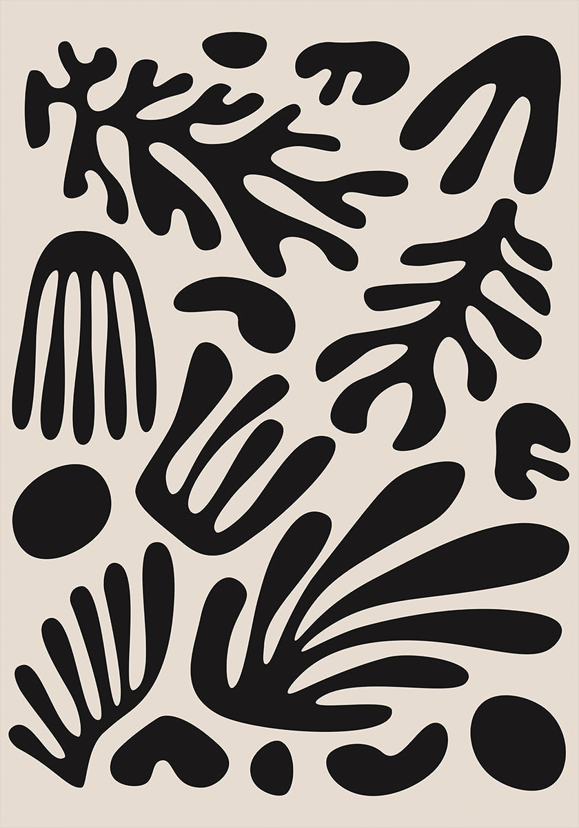 Henri Matisse Black Algae Collection #3 Plakat