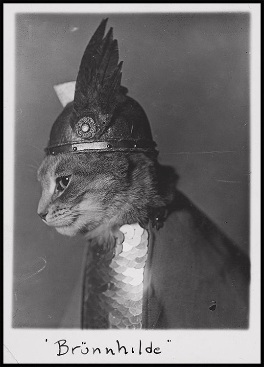 Brunnhilde Cat Profile Poster - Posterbox