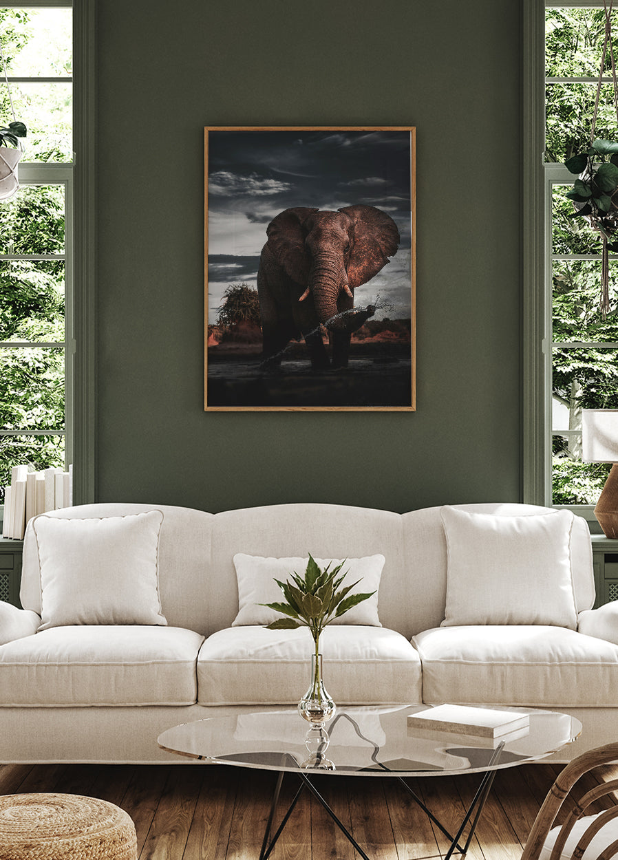 African Elephant Plakat - Posterbox.dk