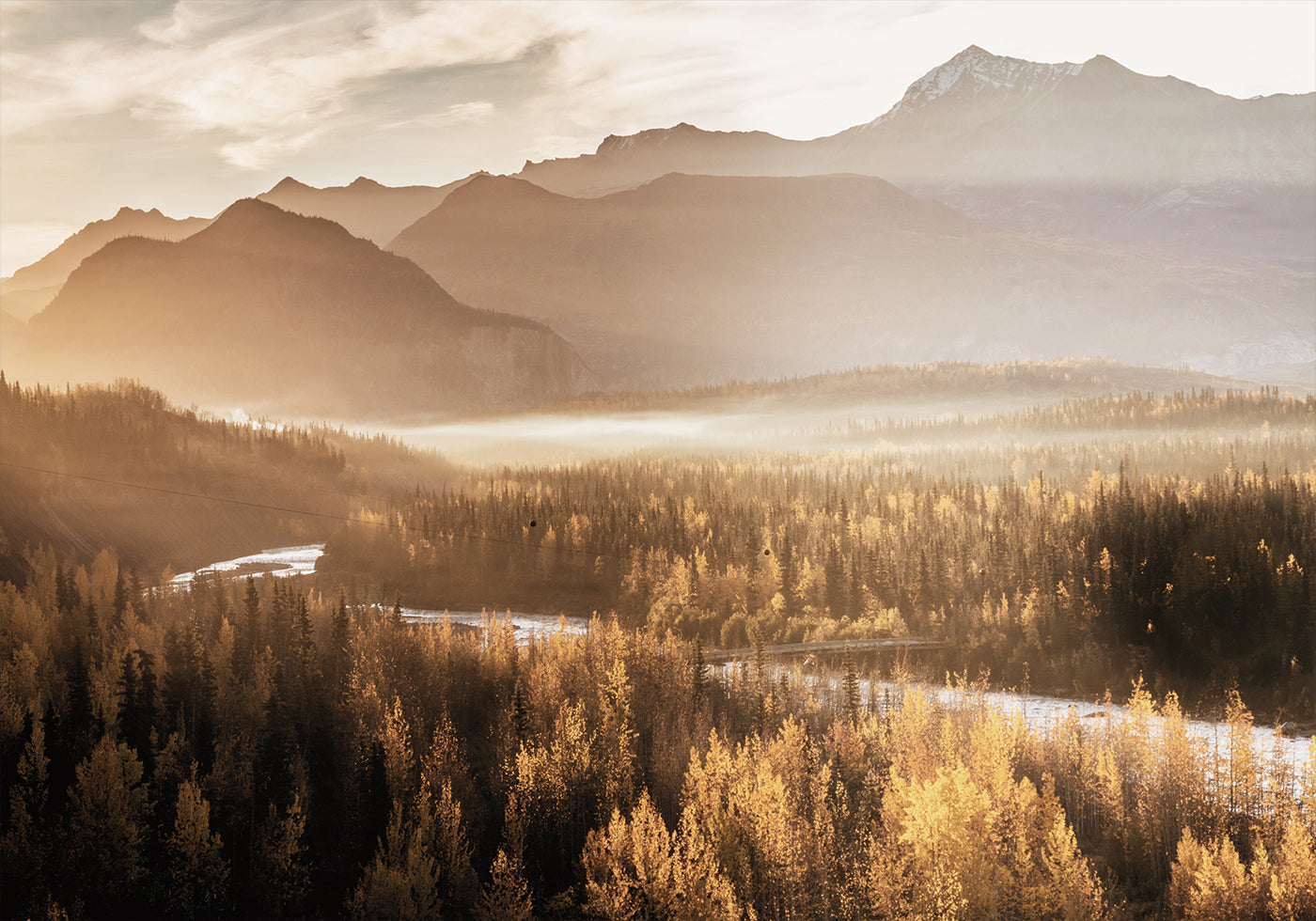 Golden Morning in the Valley Plakat