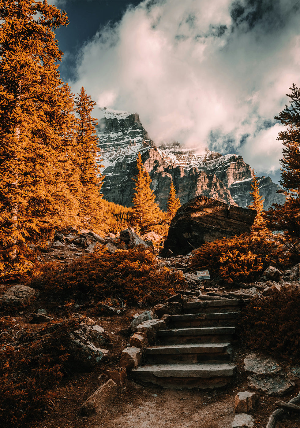 Autumn Wilderness Plakat - Posterbox.dk