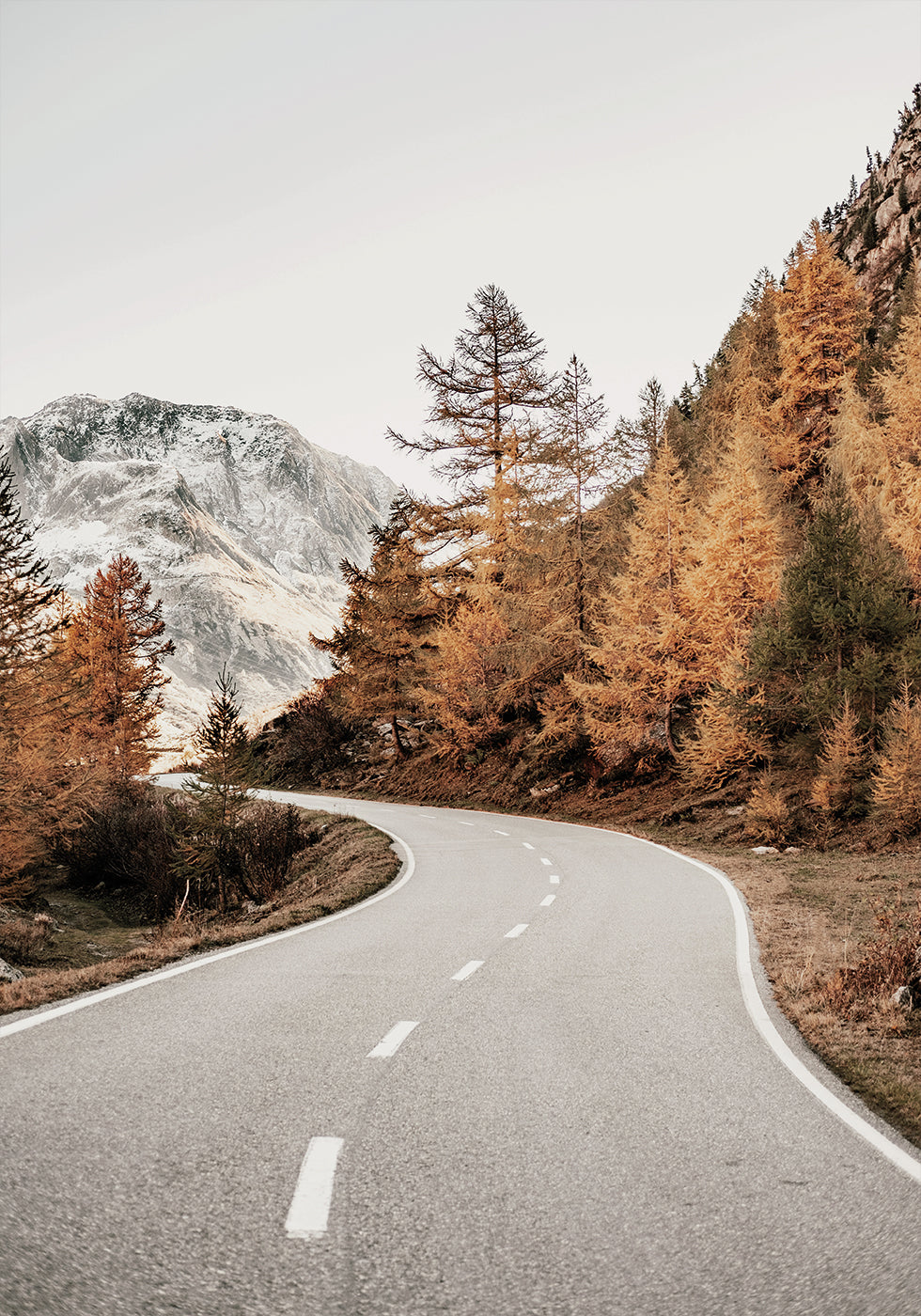 Autumn Mountain Road Plakat