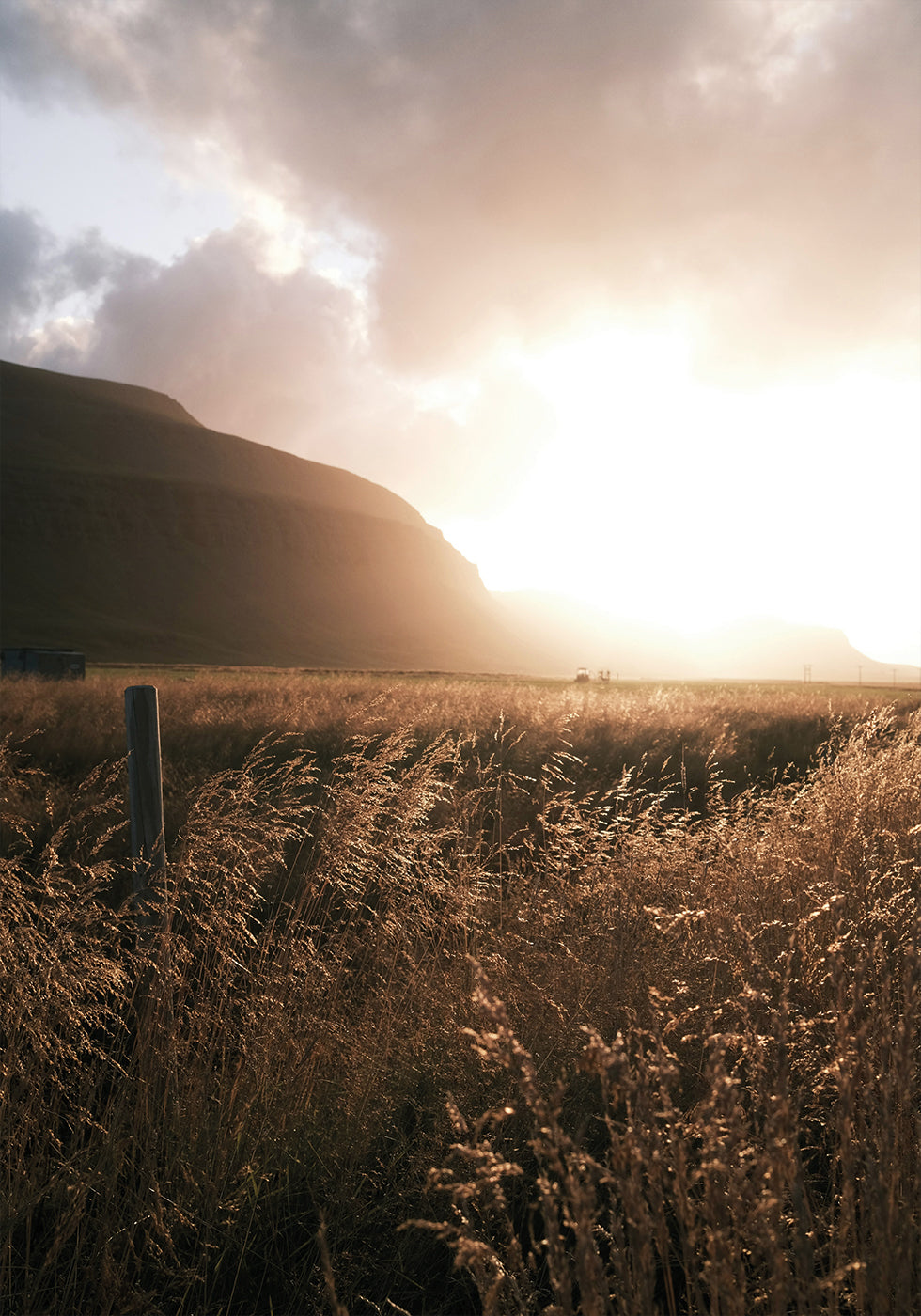 Autumn Sunset Over the Field Plakat