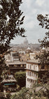 View of Rome with St. Peter's Basilica Plakat - Posterbox.dk