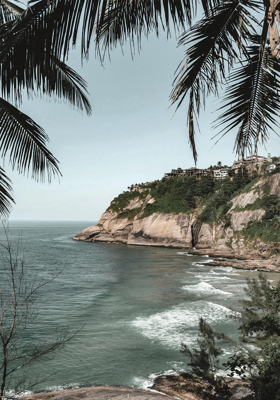 Between Palm Leaves Plakat - Posterbox.dk