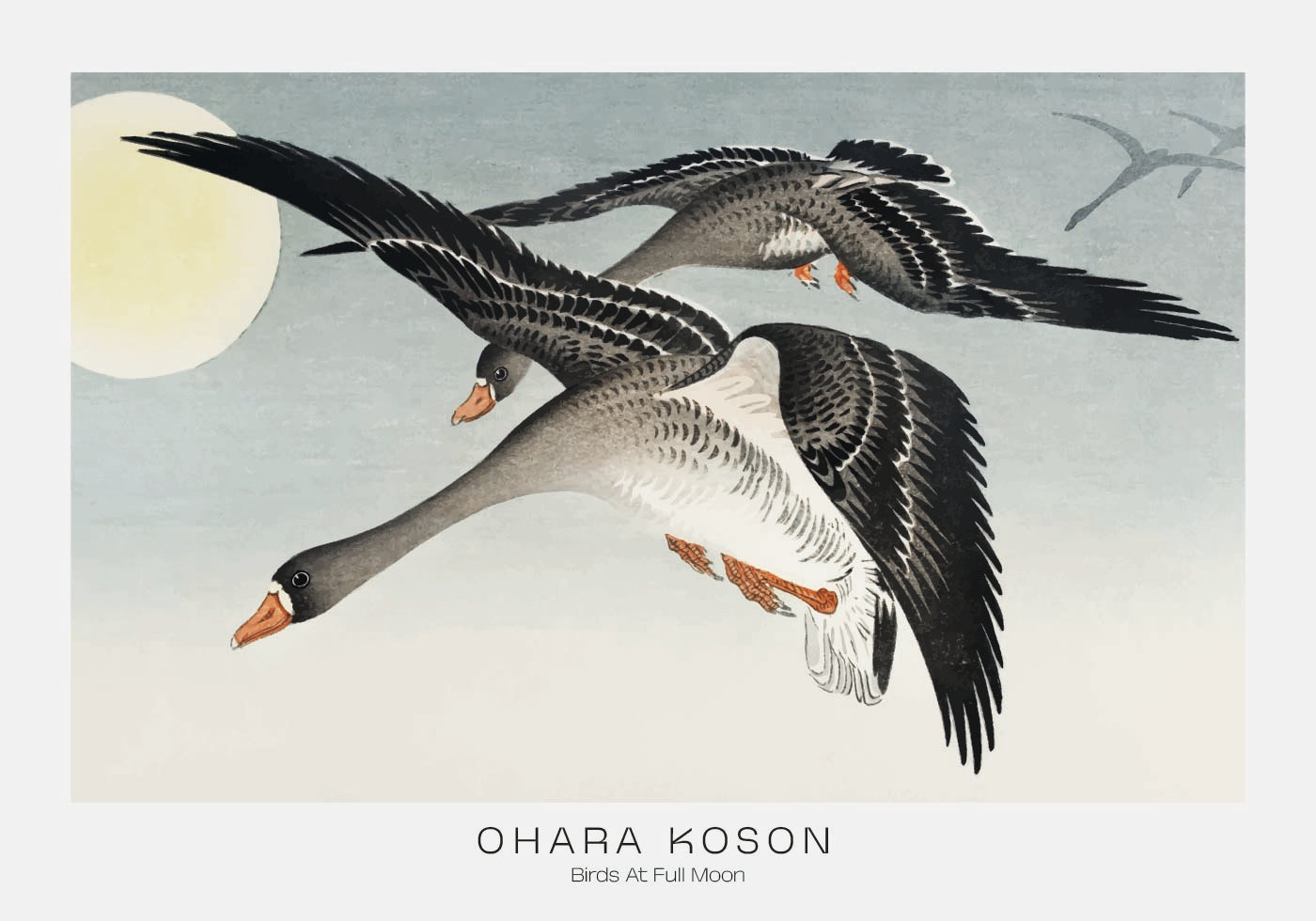 Birds At Full Moon By Ohara Koson Plakat - Posterbox.dk