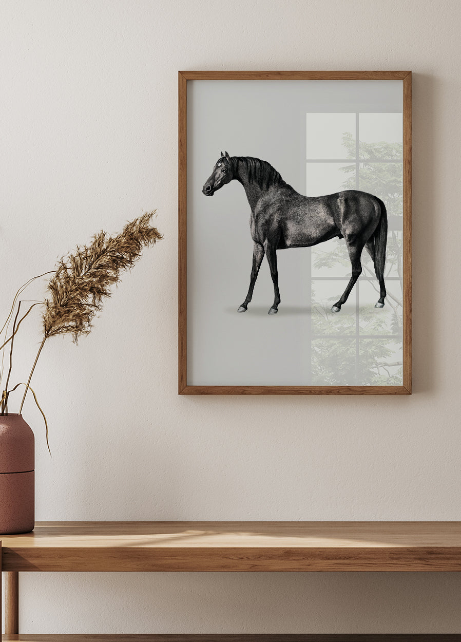 Black Horse Port. Drawing Plakat - Posterbox.dk