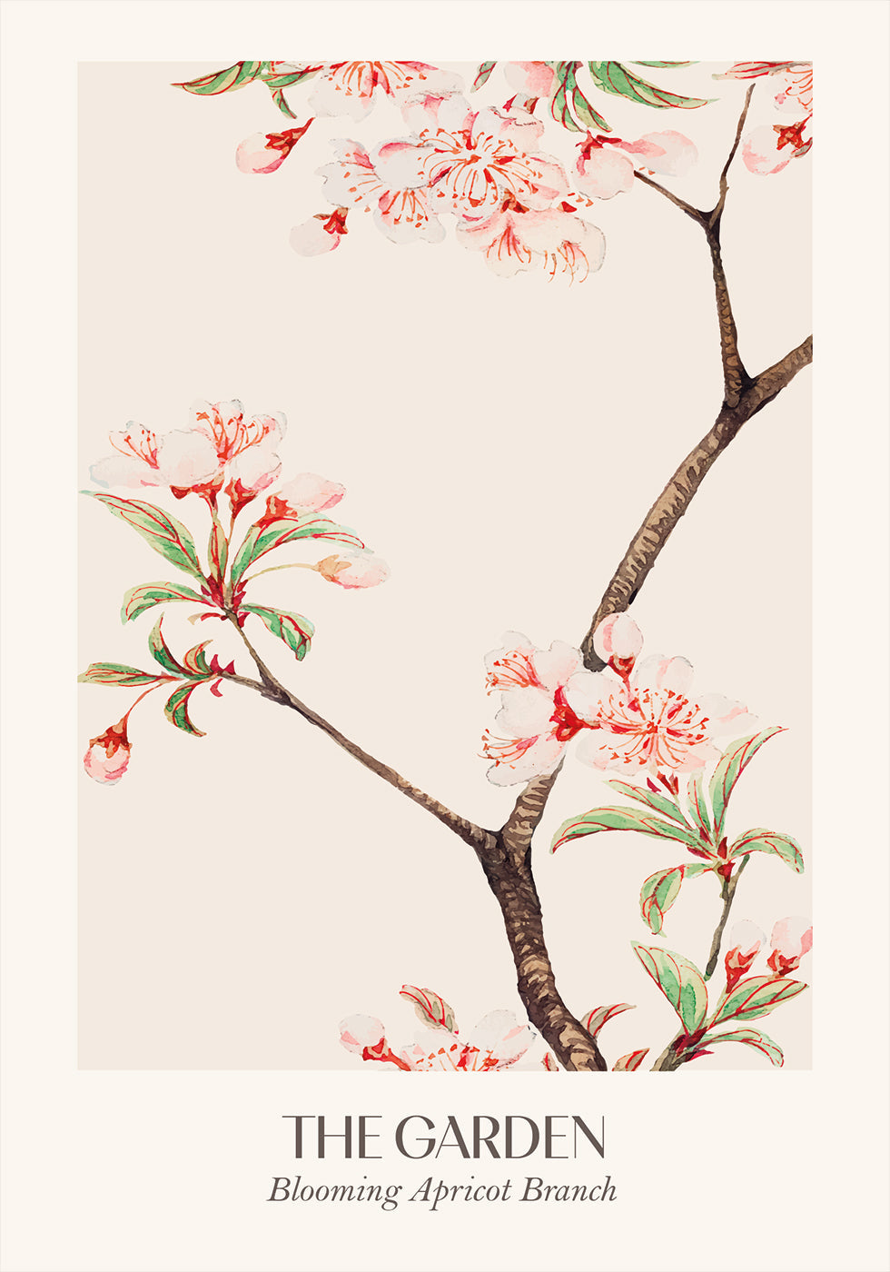 Blooming Apricot Branch Plakat - Posterbox.dk