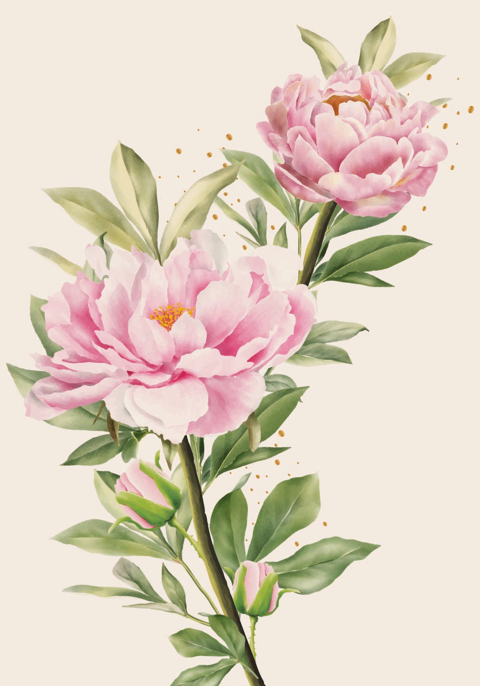 Blooming Peonies Plakat