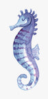 Blue Seahorse Plakat - Posterbox.dk