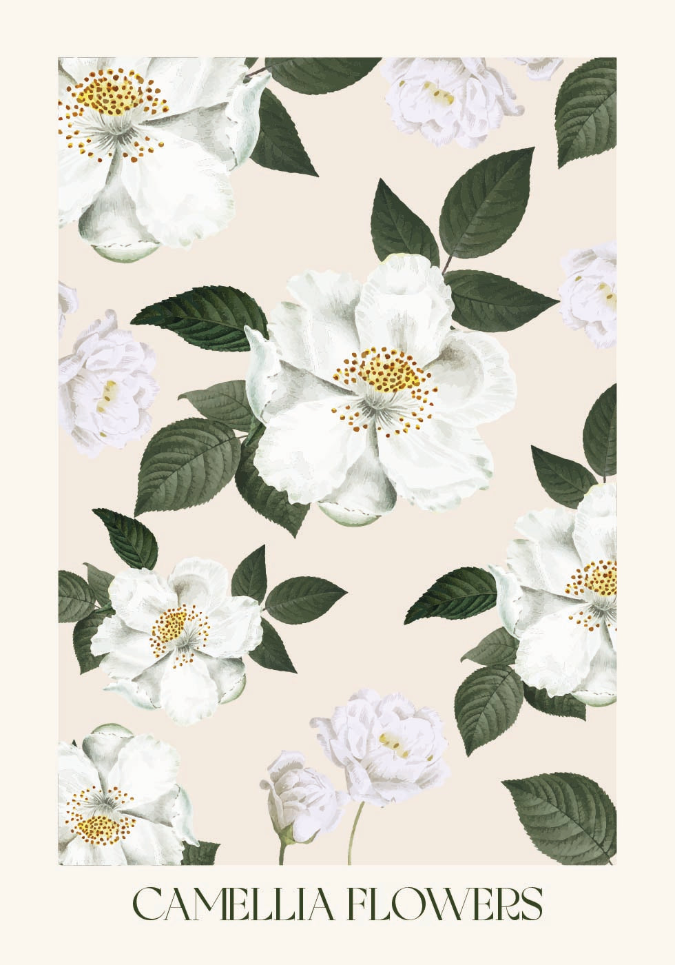 Camellia Flowers Plakat