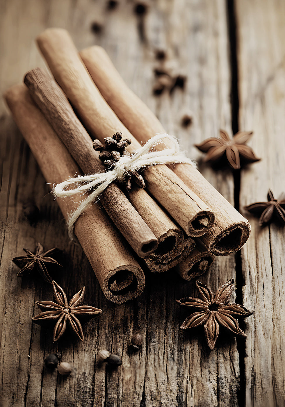 Cinnamon Sticks with Star Anise Plakat