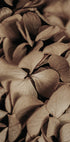 Dried Hydrangea Plakat - Posterbox.dk