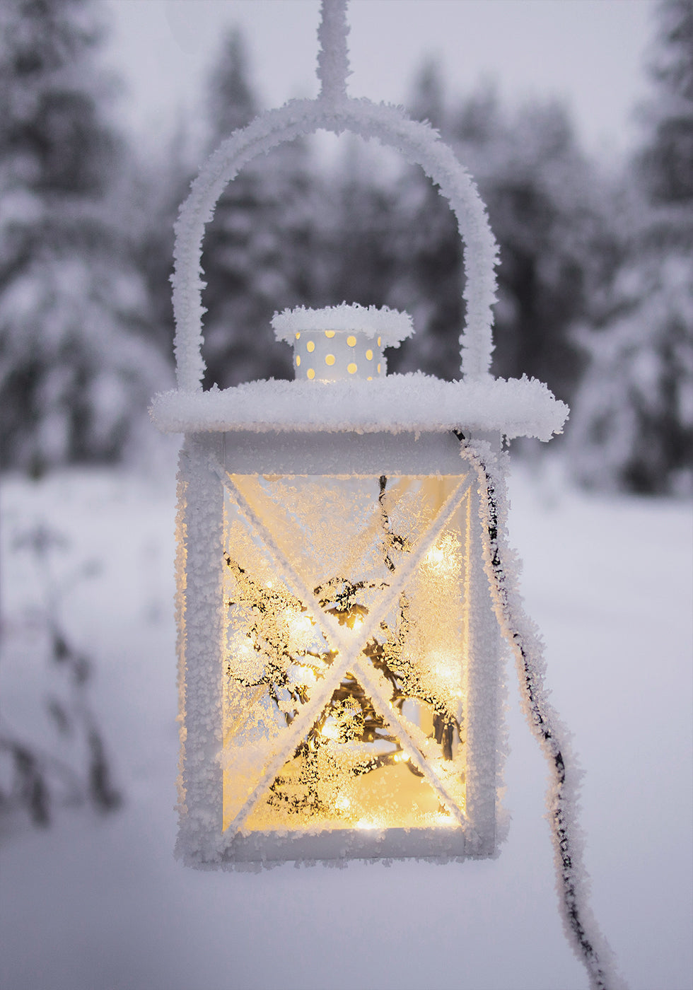 Flashlight Covered with Frost Plakat