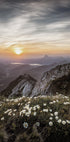 Sunrise Over Mountain Wildflowers Plakat - Posterbox.dk