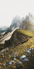 Flowers On The Mountain Plakat - Posterbox.dk