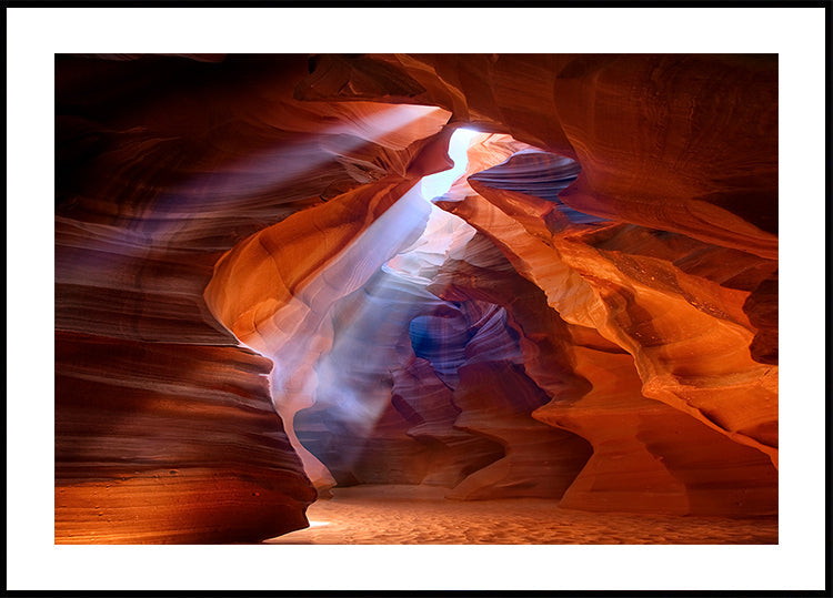 Pure Photodelight  2 Plakat