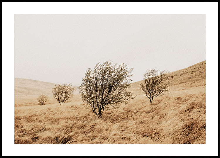 Autumn Grassy Field and Trees Plakat