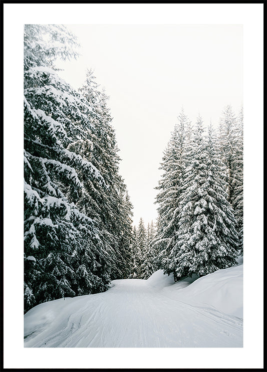 Snowy Road Through Evergreen Forest Plakat