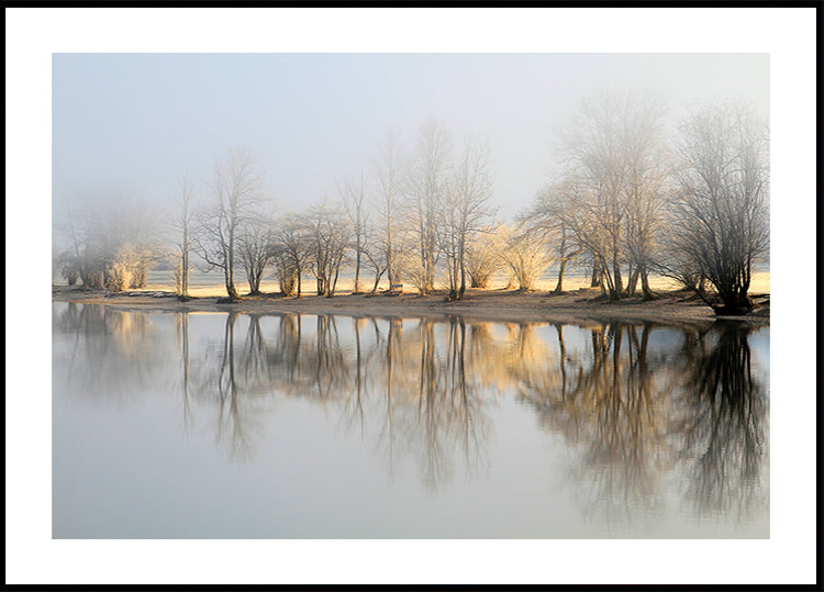 january morning Plakat