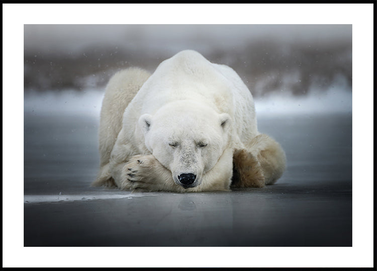 Dreaming alone Plakat