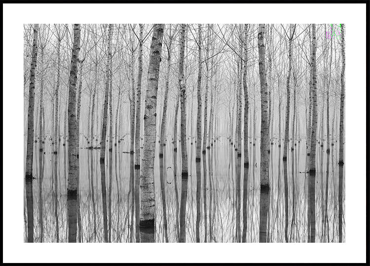 Novembre 2014 Plakat Plakat Plakat Plakat Plakat