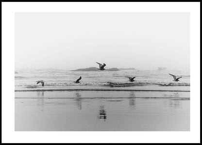 Birds Flying Over The Coast  Plakat