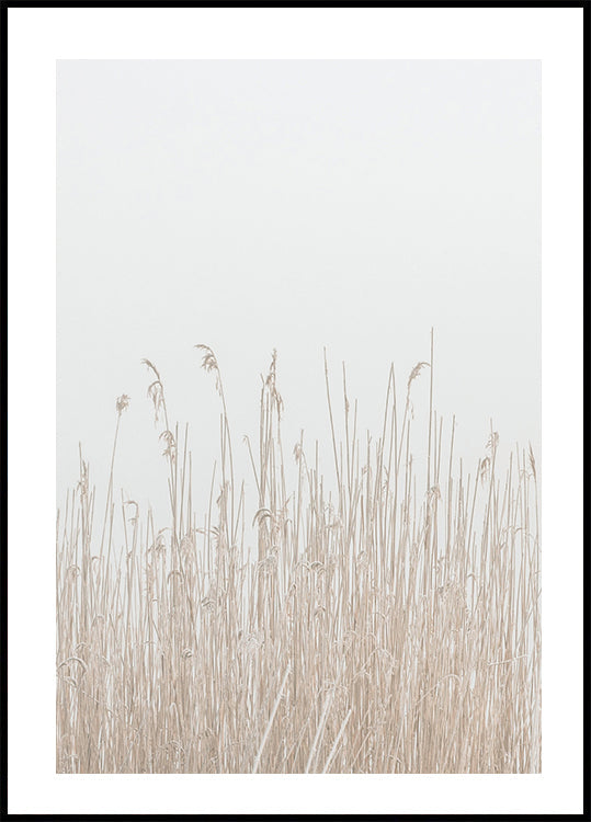 Grass In Fog Plakat - Posterbox.dk