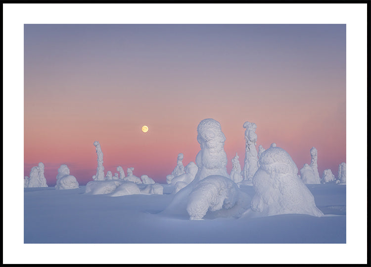 Shakespeare's Drama Plakat