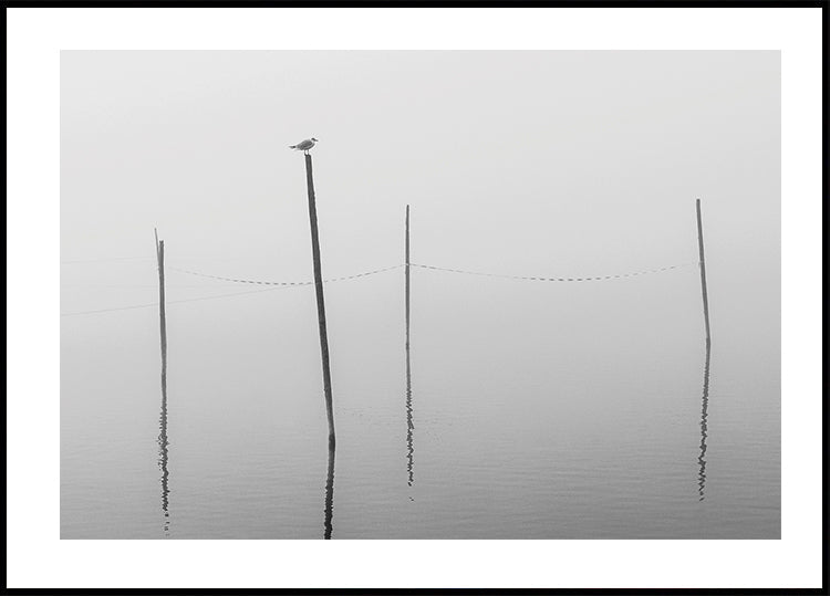 A Small Bird on a Wooden Stake  Plakat