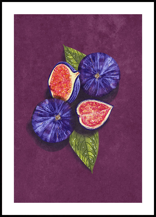Figs Stil Life Plakat