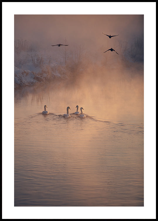 Where the Fog Didn’t Reach Plakat