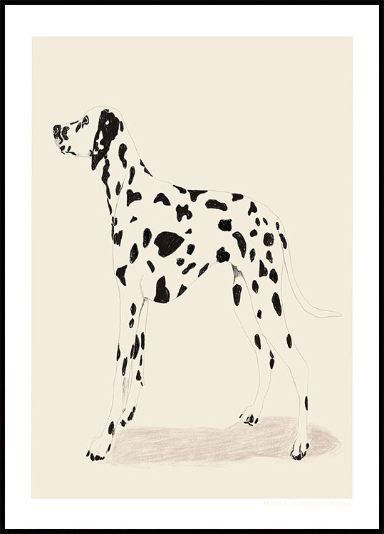 Pandc Dalmation Plakat