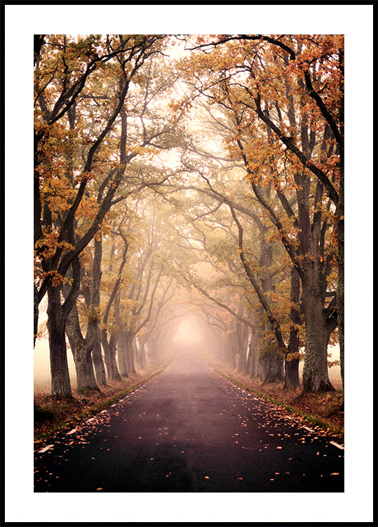 Autumn Avenue Plakat