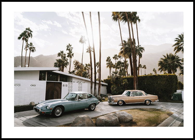 Retro Cars in Palm Springs Plakat - Posterbox.dk