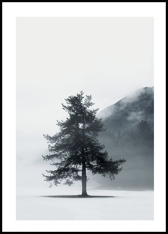 Lone Pine Tree in Foggy Field Plakat - Posterbox.dk