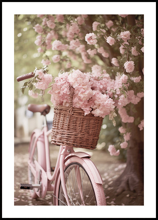 Pink Bicycle and Blossoms Plakat - Posterbox.dk