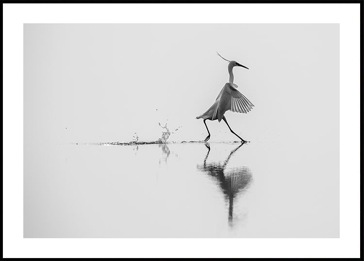 &quot;Dancing on the water&quot; Plakat