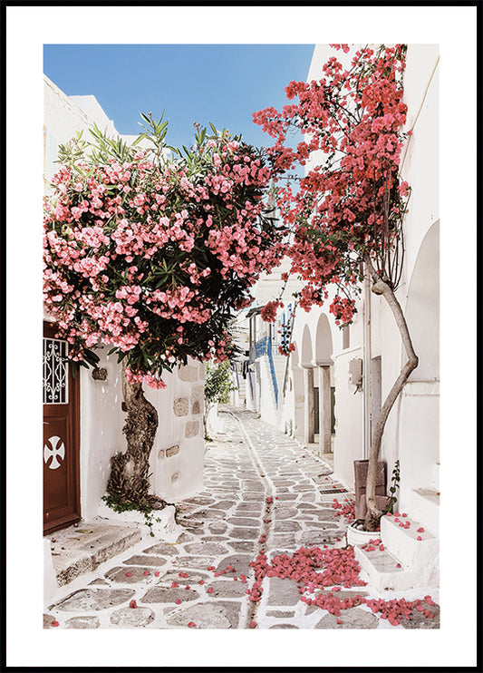 Pink Flower Trees in a Picturesque Alley Plakat