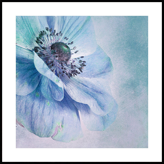 Shades of Blue Plakat